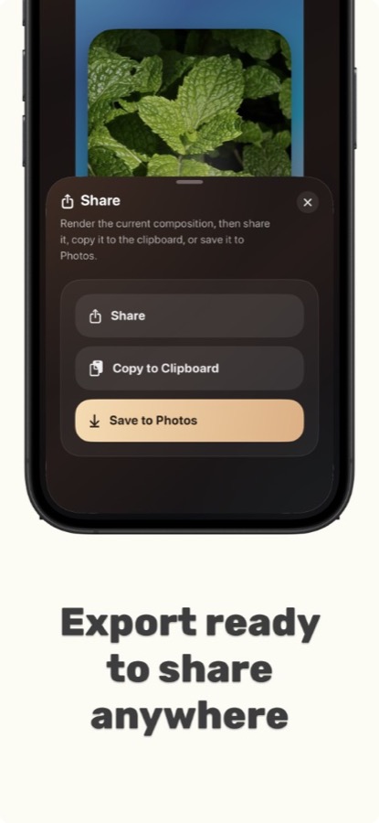 Export ready to share anywhere
